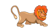 Gif animé lion gratte